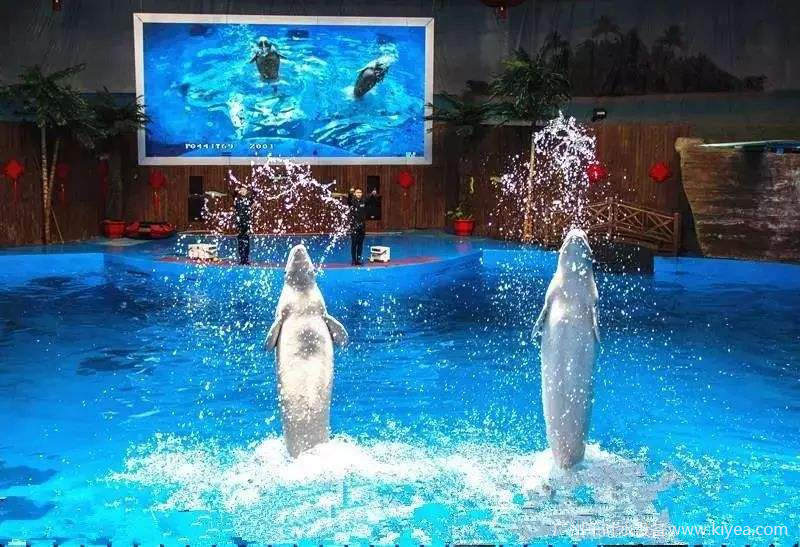 海洋館設備 海洋館設備