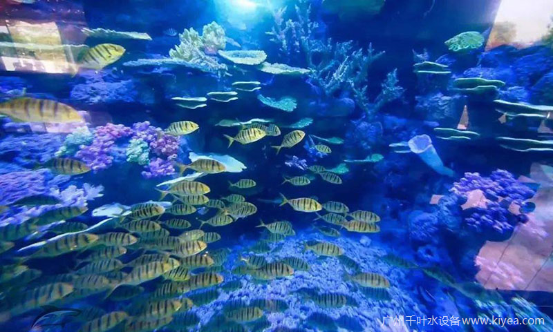 福州海洋館 福州海洋館
