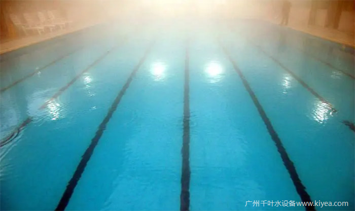 室內泳池工程 室內泳池工程