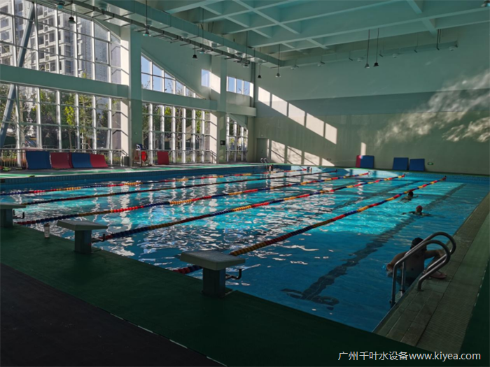 健身房泳池項目 健身房泳池項目